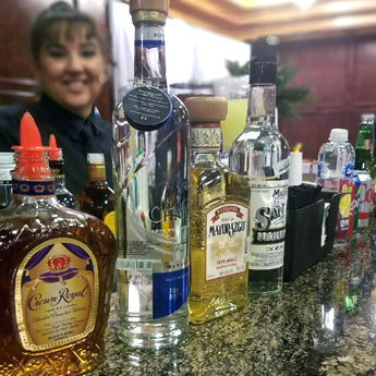 An Array of Brands of Alcohol